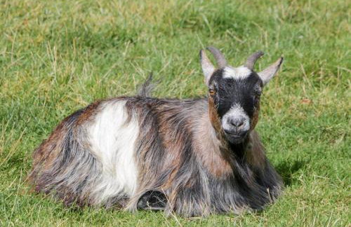 Caner Bach Lodge - Foto 30