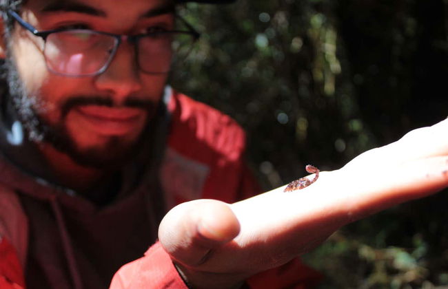 Alerce Costero National Park Day Trip - Photo 4