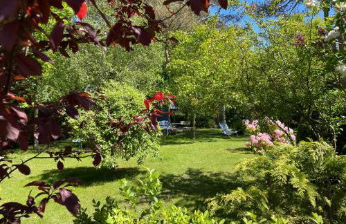 Ferienhaus Ankerherz - Foto 50