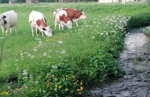 Châlet CARIBOU 74 avec Piscine Chauffée - Foto 25