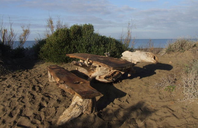 Apartment in Sassetta With Pool and Garden - Photo 28