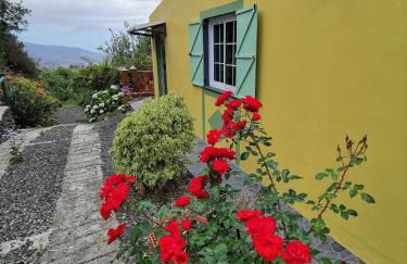 Iraña del bosque - Foto 14