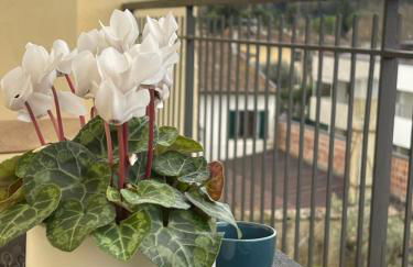 Casa Le Formiche Your home in Florence - Foto 4