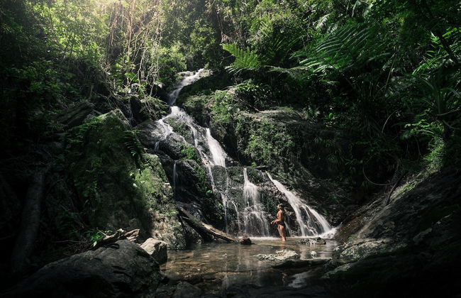 Daintree Ecolodge - Photo 46