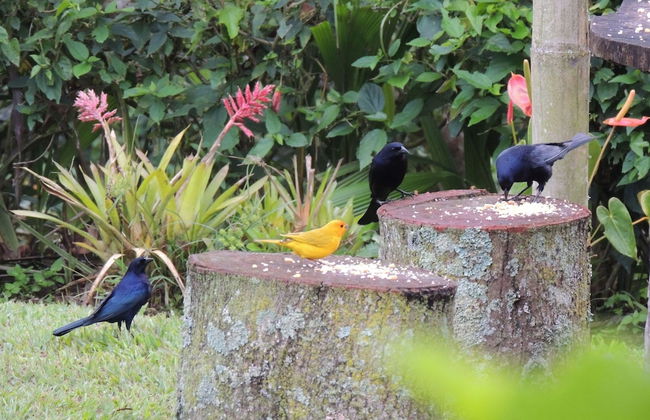 Entre Guaduas - Photo 40