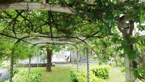 Maison familiale au calme avec piscine en bordure de forêt - Foto 5