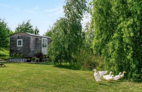 Herbie's Shepherd Hut - Uk50229 - Foto 20