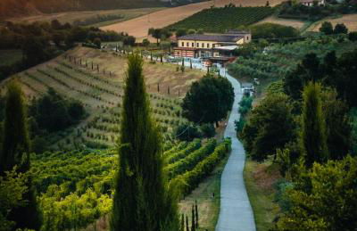 Agriturismo Acetaia Sereni - Photo 43