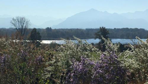 Chiemsee Exklusiv Ferienapartment Schneeganserhof - ein Refugium für längere erholsame Aufenthalte in Alleinlage am Chiemsee - Photo 4, Garden view