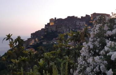 Cozy Studio - Foto 36