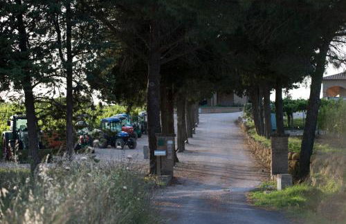 Agriturismo Poggio al Tufo - Foto 83