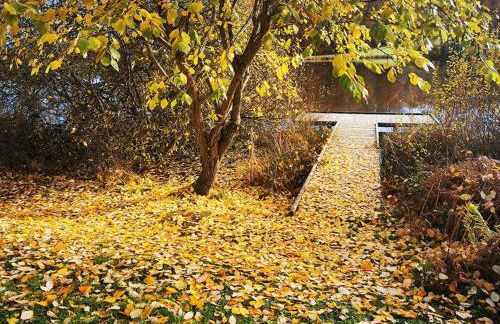 Le Noisetier - Foto 14