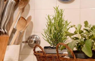 Villa la Moresca Your Tuscan Dream Panorama - Foto 56