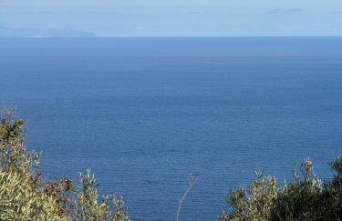 Papous house - Foto 18