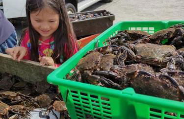 Berneray Otter Cottage - Foto 42