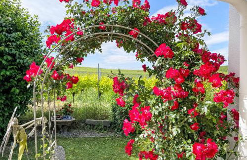 Apartment Weinbergblick by Interhome - Foto 18