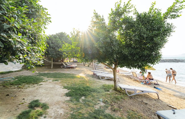 Bodrum Bargilya Villaları - Foto 43