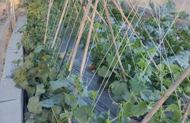 Casa Rural Abuela Dorotea - Foto 18