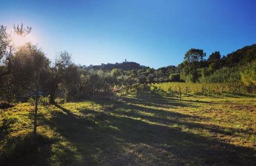 Le Giuncaie - Vigna con alloggio - Foto 32