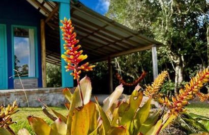 Reserva Pedra da Mata - Foto 65