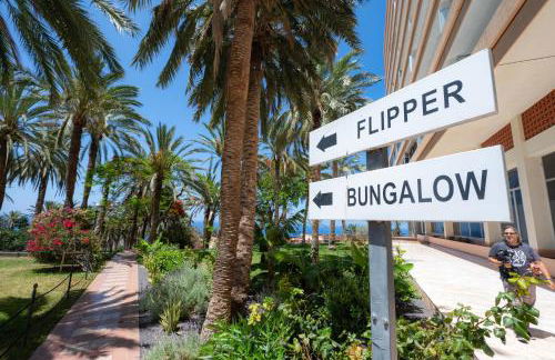 Seagulls melody C-209 - Foto 9