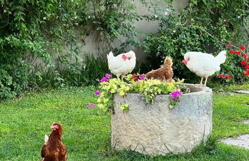 Terre di Senia - Foto 24