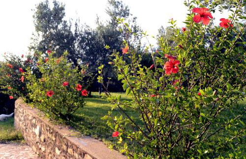 Agriturismo Le Carolee - Foto 122