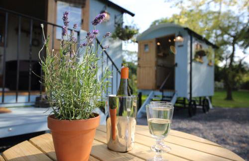 Upper Gelli Luxury Holiday Lodge, Converted Dairy & Cosy Shepherds Huts - Photo 53