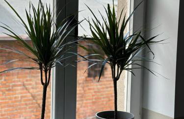 Apartament Tuchola - Foto 49