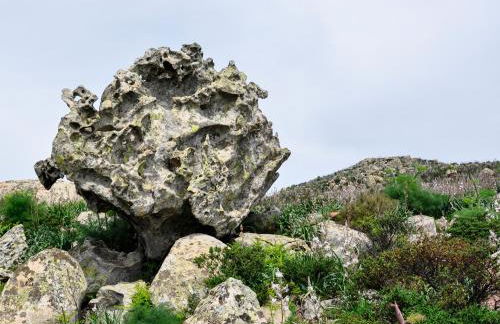 Casa vacanze Fenu - Foto 7