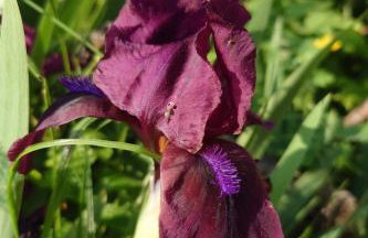 Apartment Kerstin by Interhome - Foto 19