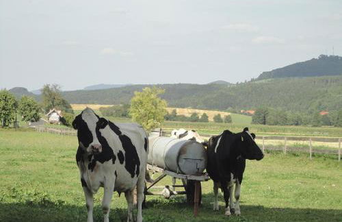Monteurwohnungen Göb - nicht für Urlaubsgäste - Foto 20