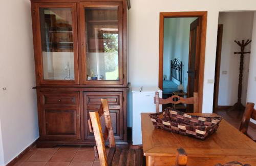 ABBAZIA DI VALLINGEGNO - Foto 5