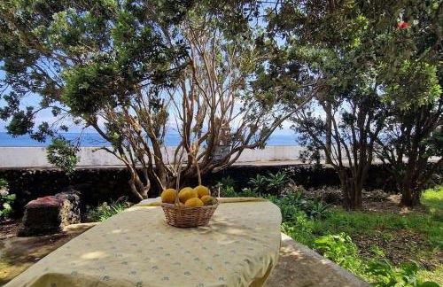 Terra`s Place - Photo 11