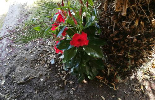 La Casa di Via Lungomare - Foto 36