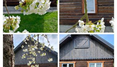 Chata Miła Agroturystyka - Foto 2