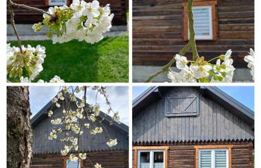 Chata Miła Agroturystyka - Foto 2