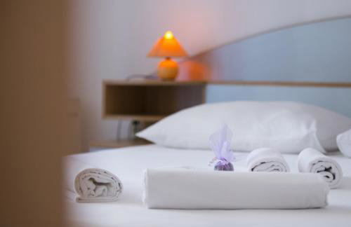 Villa Opatija - Photo 52