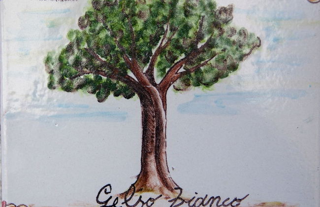 Serravalle Relais & Country Villa - Photo 8