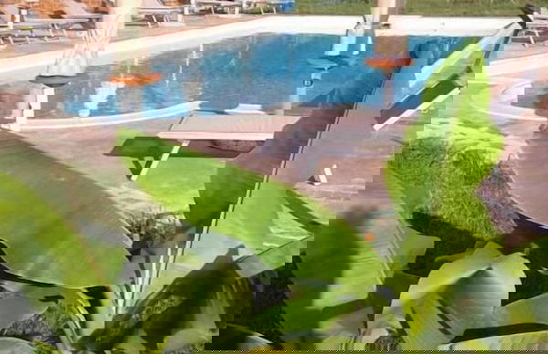 Poggio La Buca - Agriturismo - Foto 13