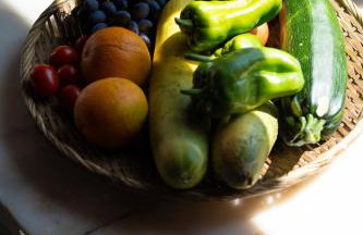 Herdade da Yucca - Retreat & Spa - Photo 72