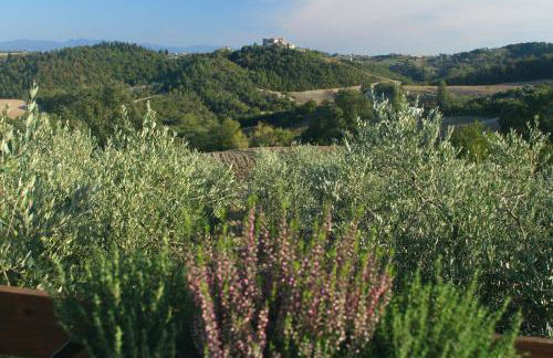 Bio Agriturismo Montemenardo Apartments - Foto 75