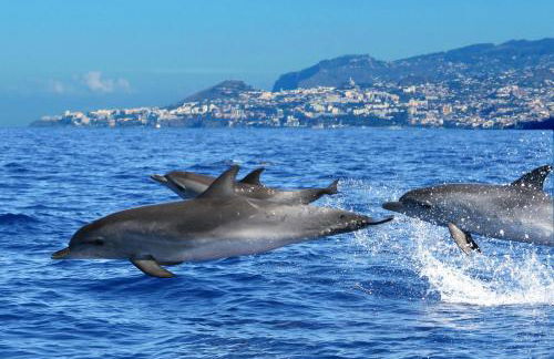 Casa Amarela - Foto 15