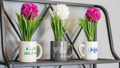 Music Valley Studio - No Stairs - Opryland Area - Foto 4