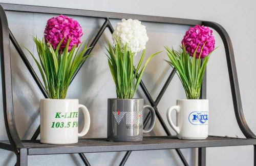 Music Valley Studio - No Stairs - Opryland Area - Foto 4