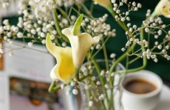 Sagaria - Easy - Rent Apartments - z basenem - Foto 12