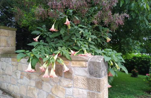 La Chimenea Cantabra - Foto 55