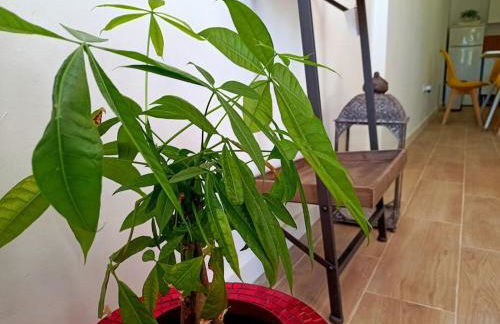 VILLA FALCONERA APARTAMENTS, GANDIA a las faldas de la montaña RELAX & PETS - Foto 48