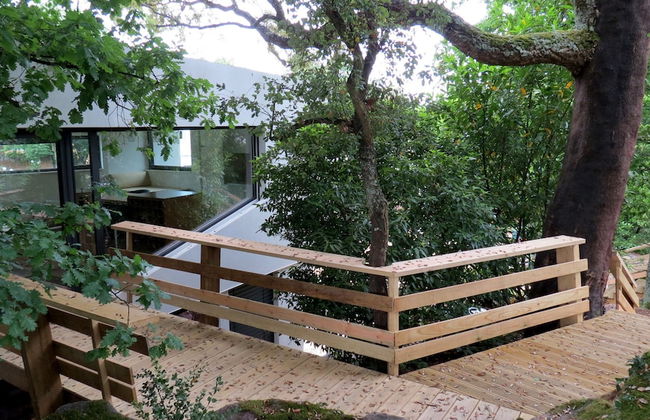 Quinta do Pomar Maior - Foto 43