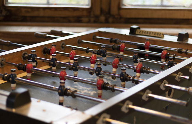 Vielsalm Stay With Furry Friends - Foto 17